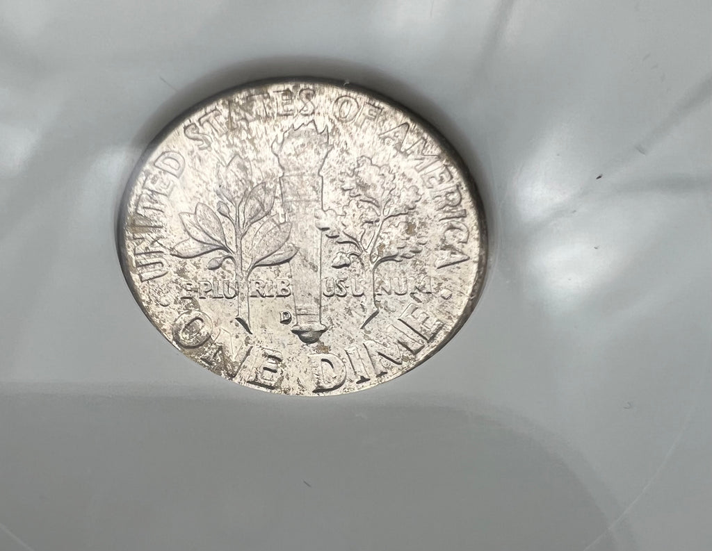 1964-D NGC Fatty Sample Slab Slight Toning