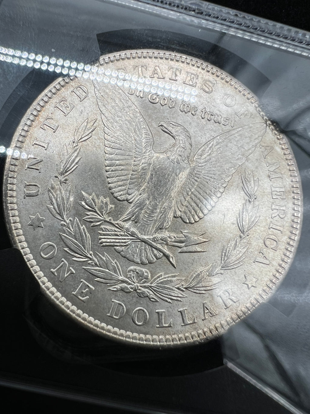 1902 MS64 Morgan Dollar NGC Black Core