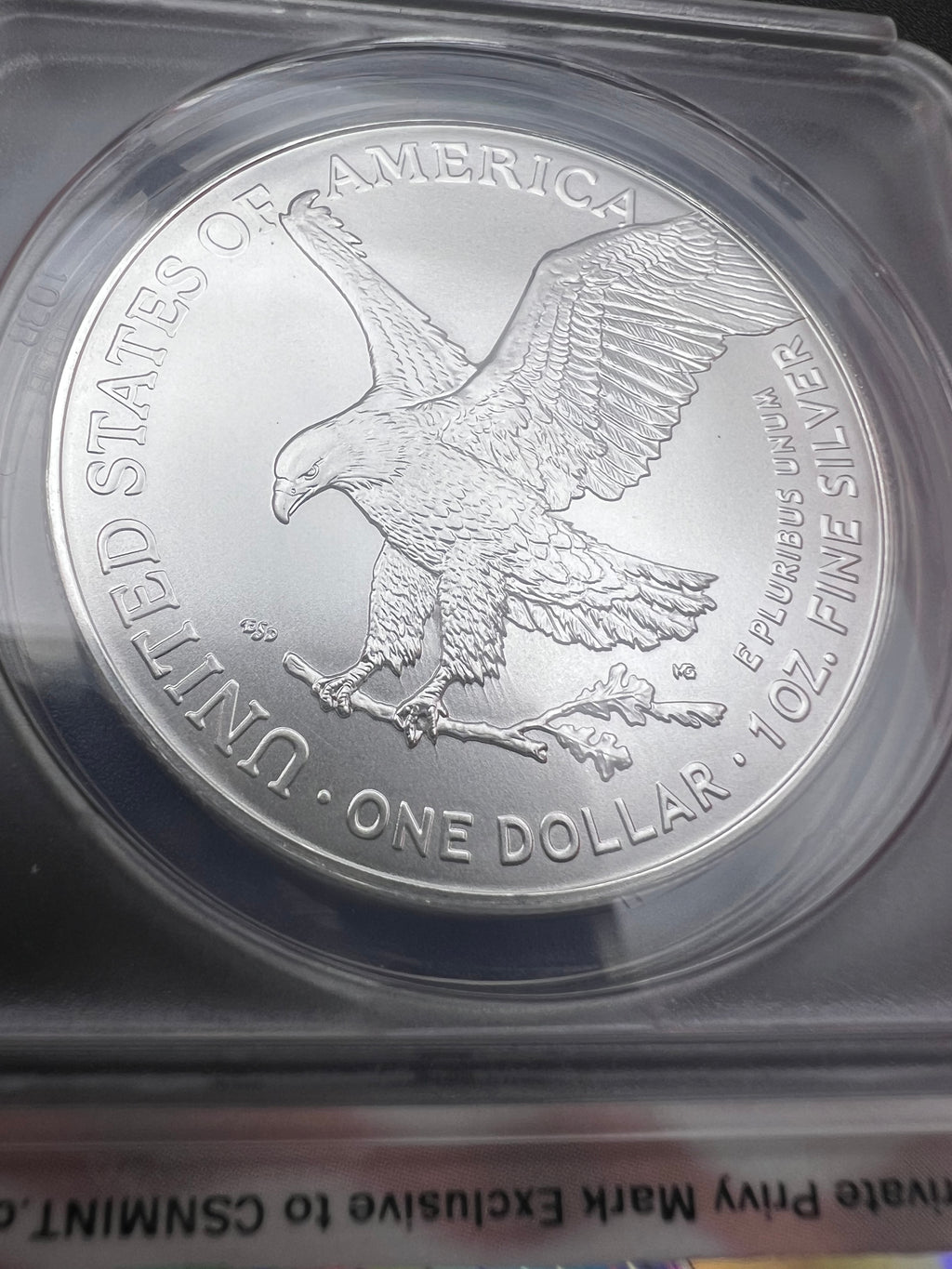 2025 40th Anniversary Privy MS70 American Silver Eagle ANACS