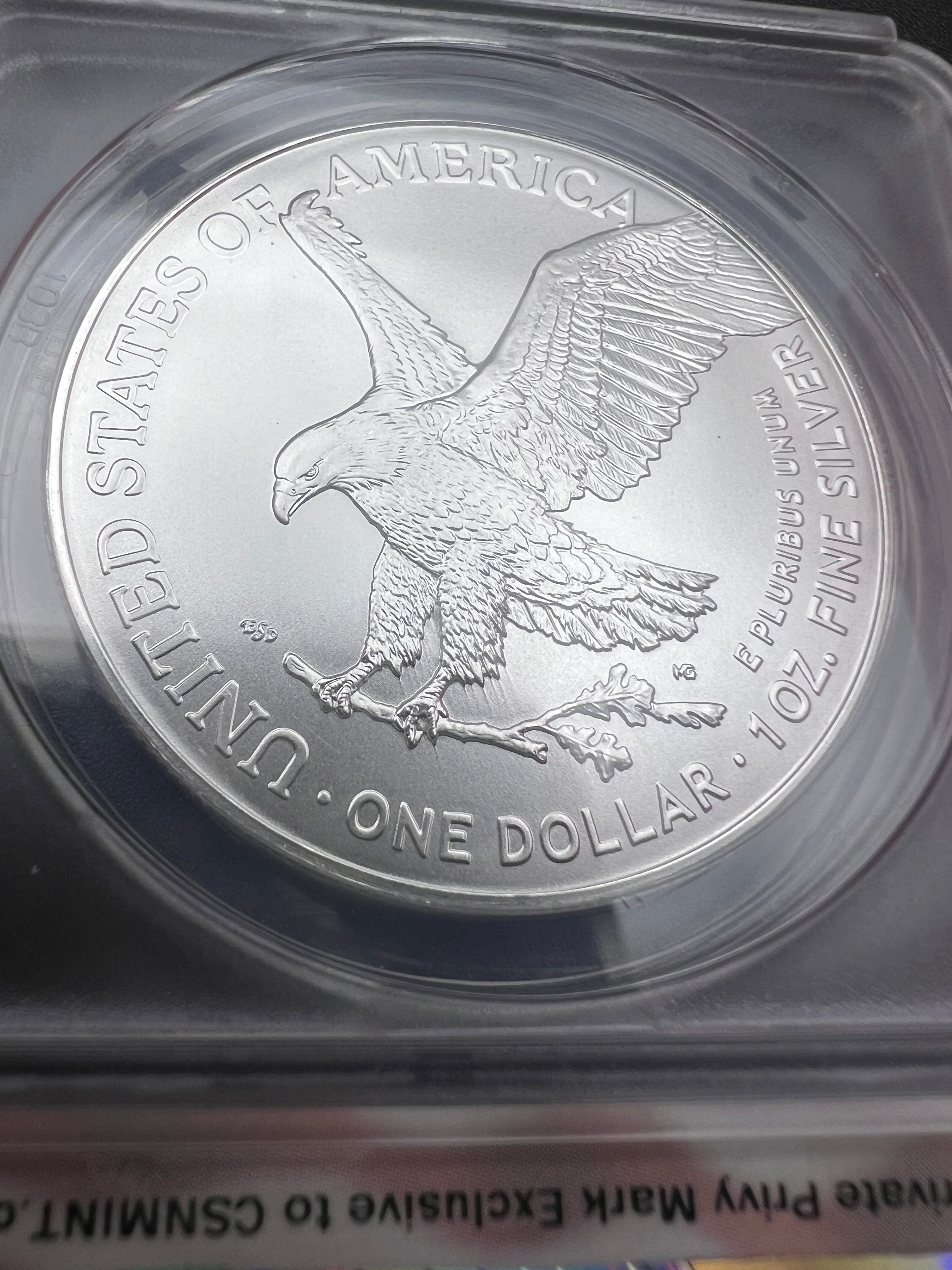 2025 40th Anniversary Privy MS70 American Silver Eagle ANACS