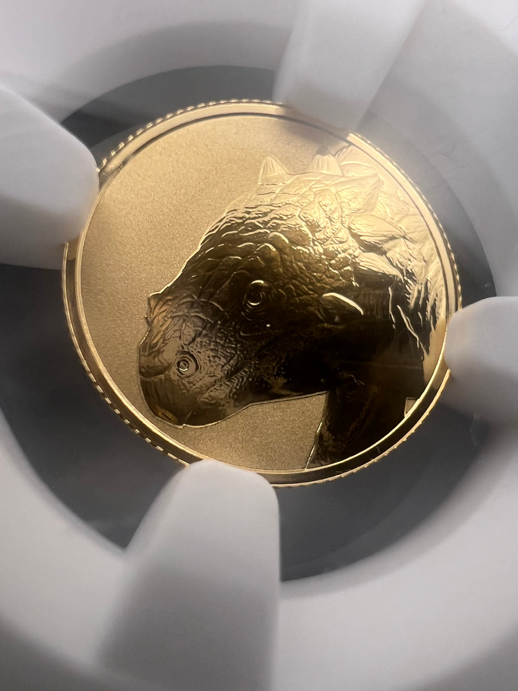 2026 Niue Gold Ankylosaurus NGC PF70 1g 22kt