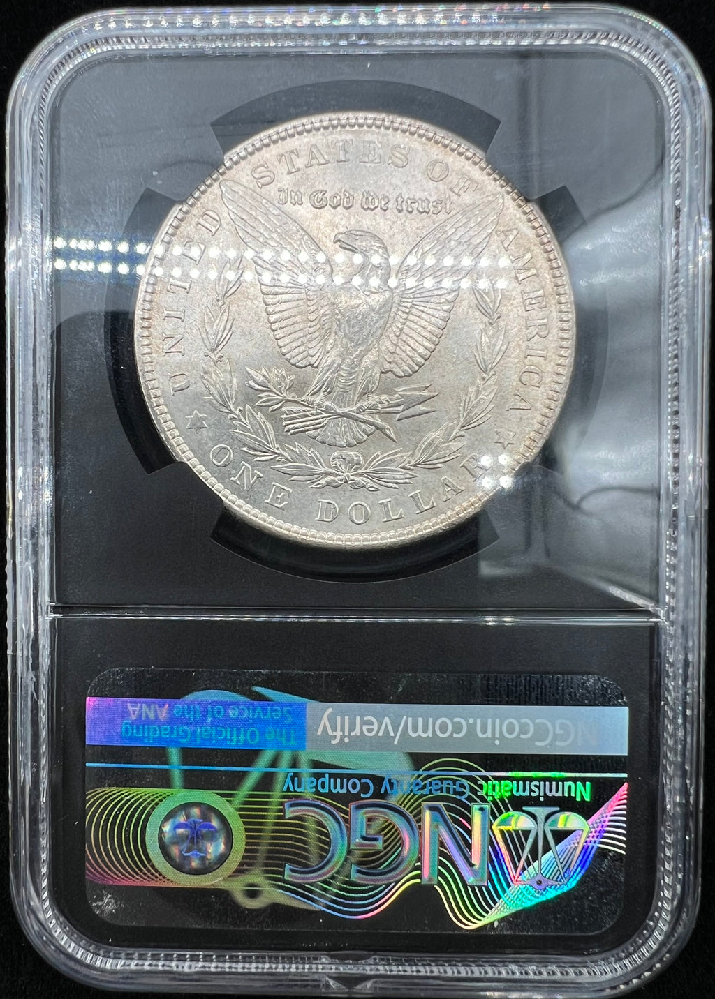 1902 MS64 Morgan Dollar NGC Black Core