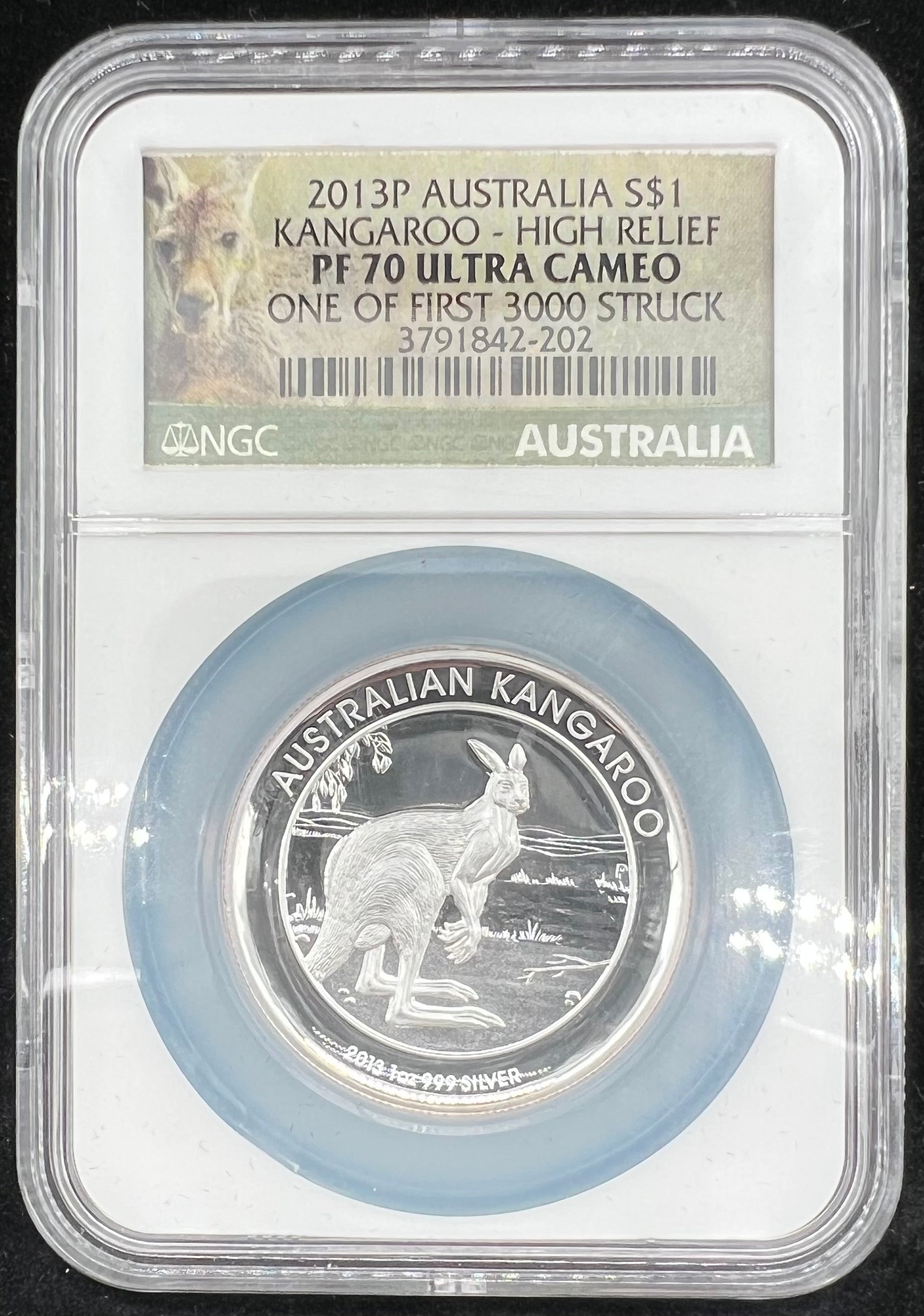 2013 PF70 UCAM Australia Kangaroo High Relief 1oz Silver NGC Thick Slab