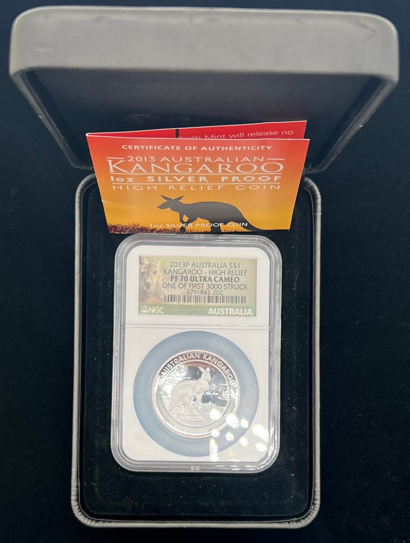 2013 PF70 UCAM Australia Kangaroo High Relief 1oz Silver NGC Thick Slab