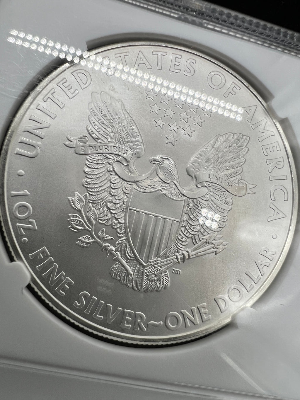 2010 MS70 American Silver Eagle NGC