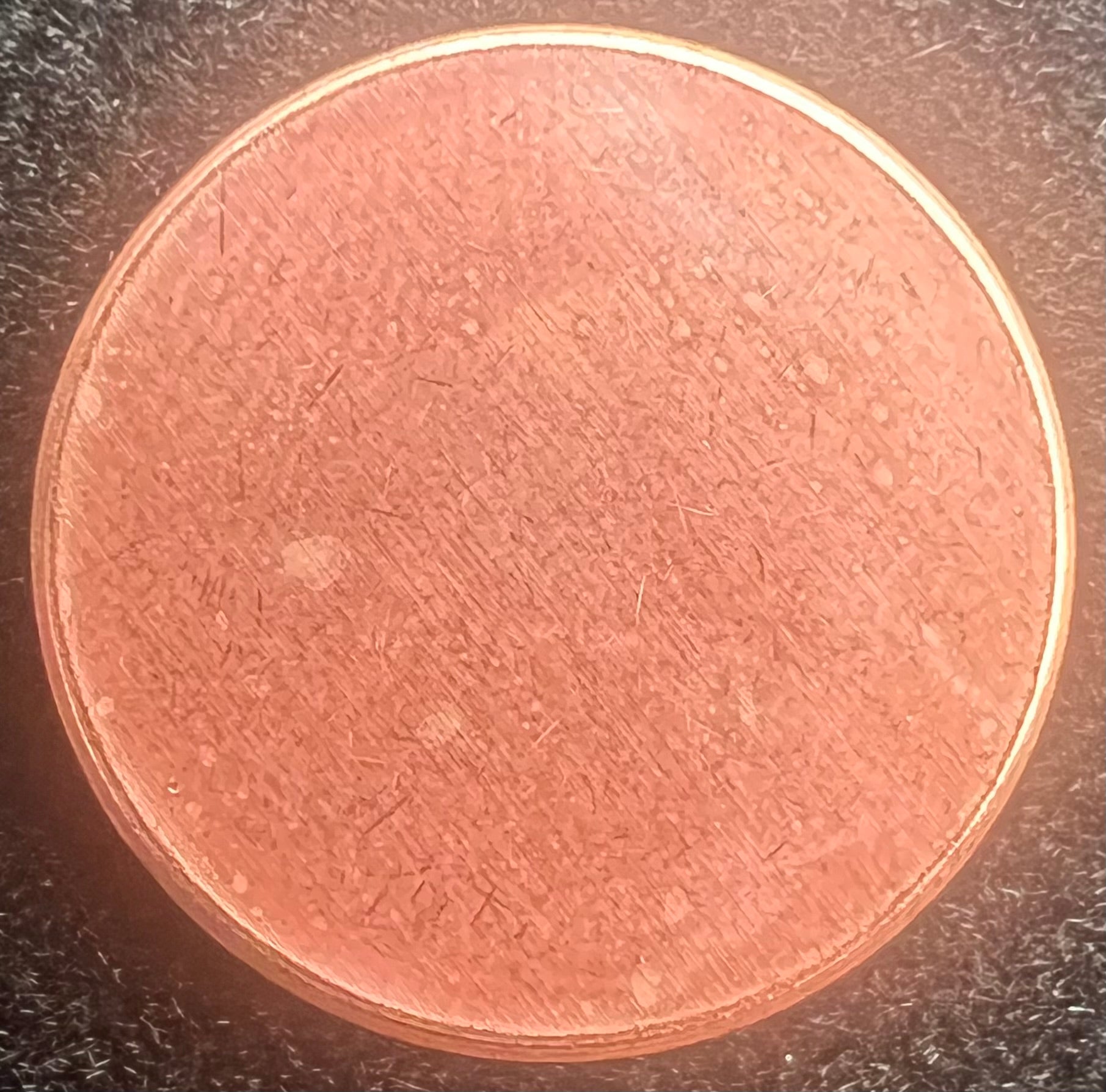 Mint Error Blank Cent Planchet