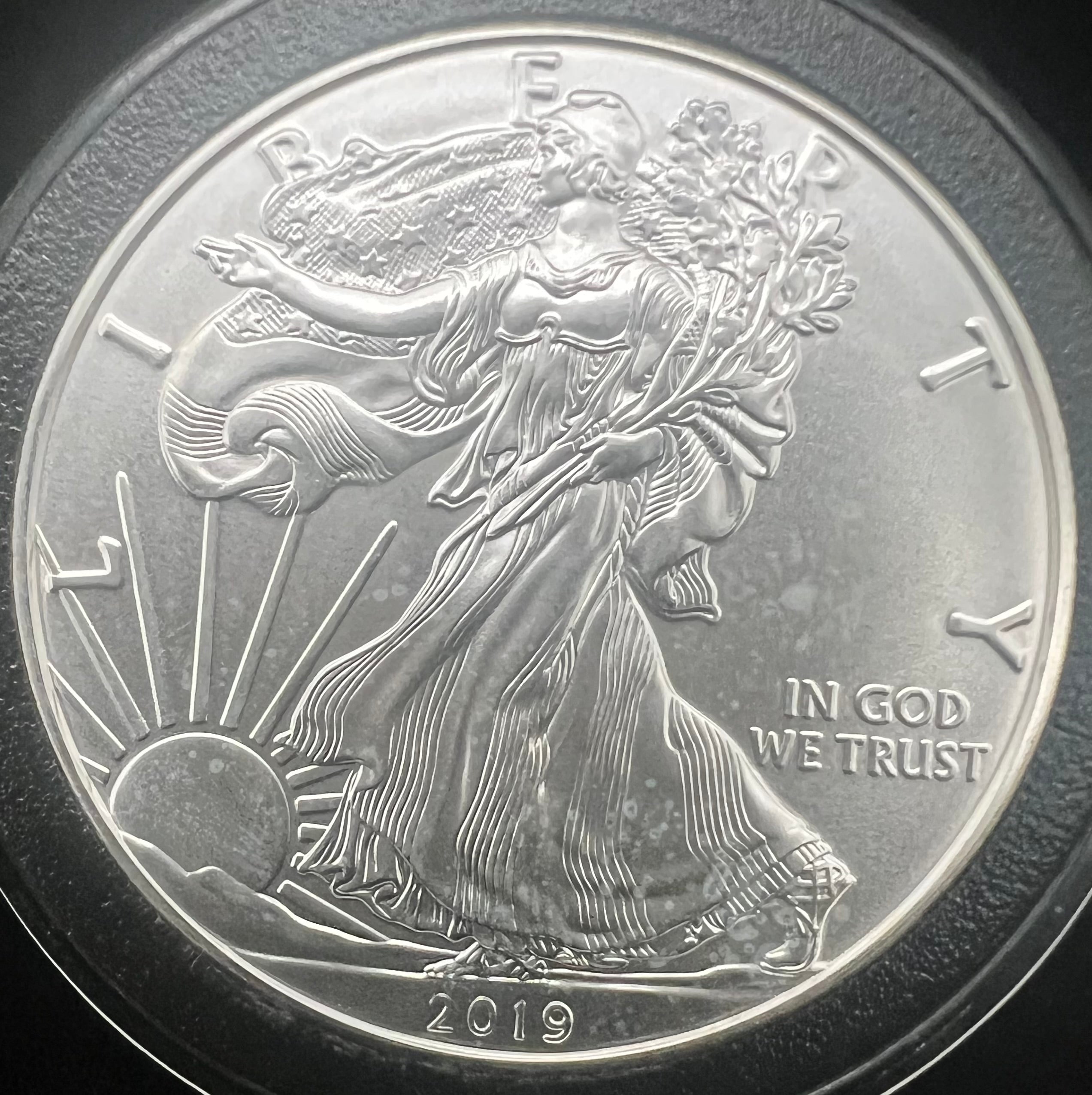 2019 American Silver Eagle
