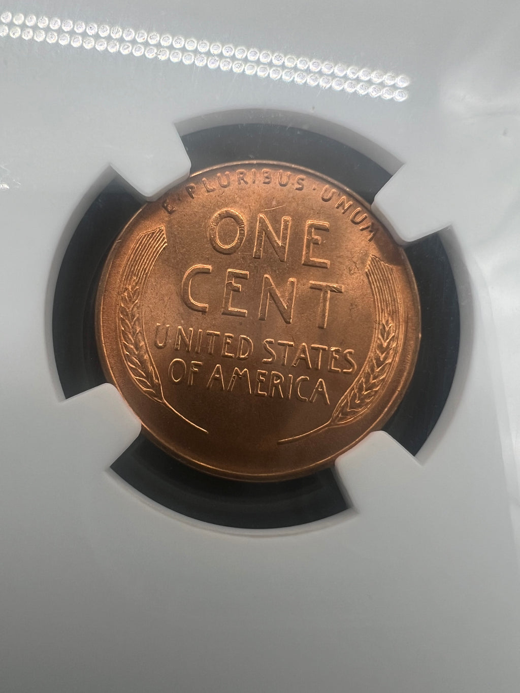 1937-D MS66 RD Lincoln Cent NGC