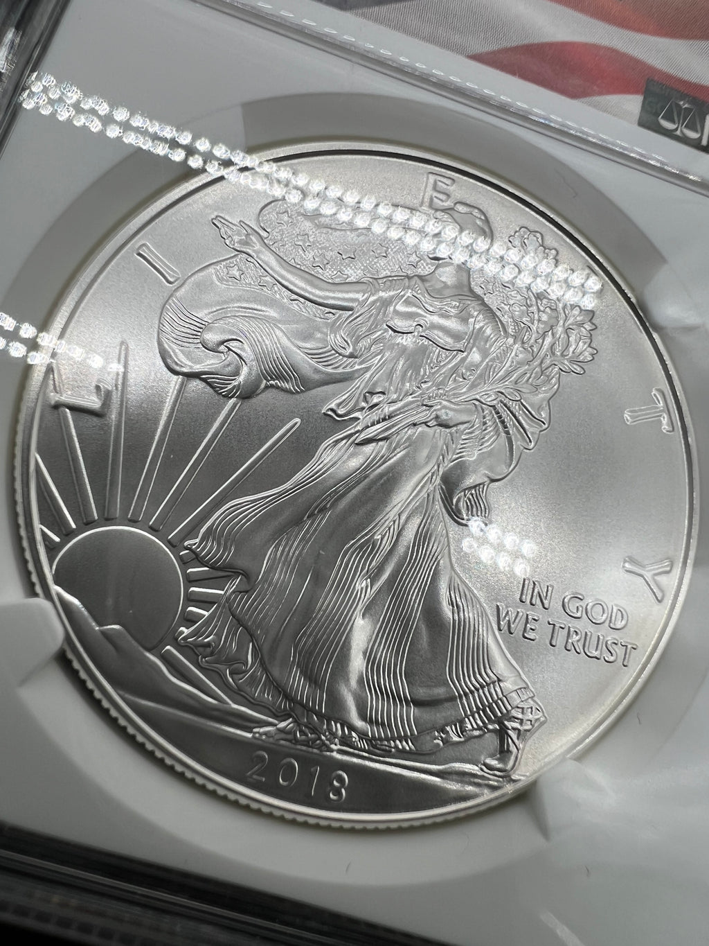 2018 MS70 American Silver Eagle