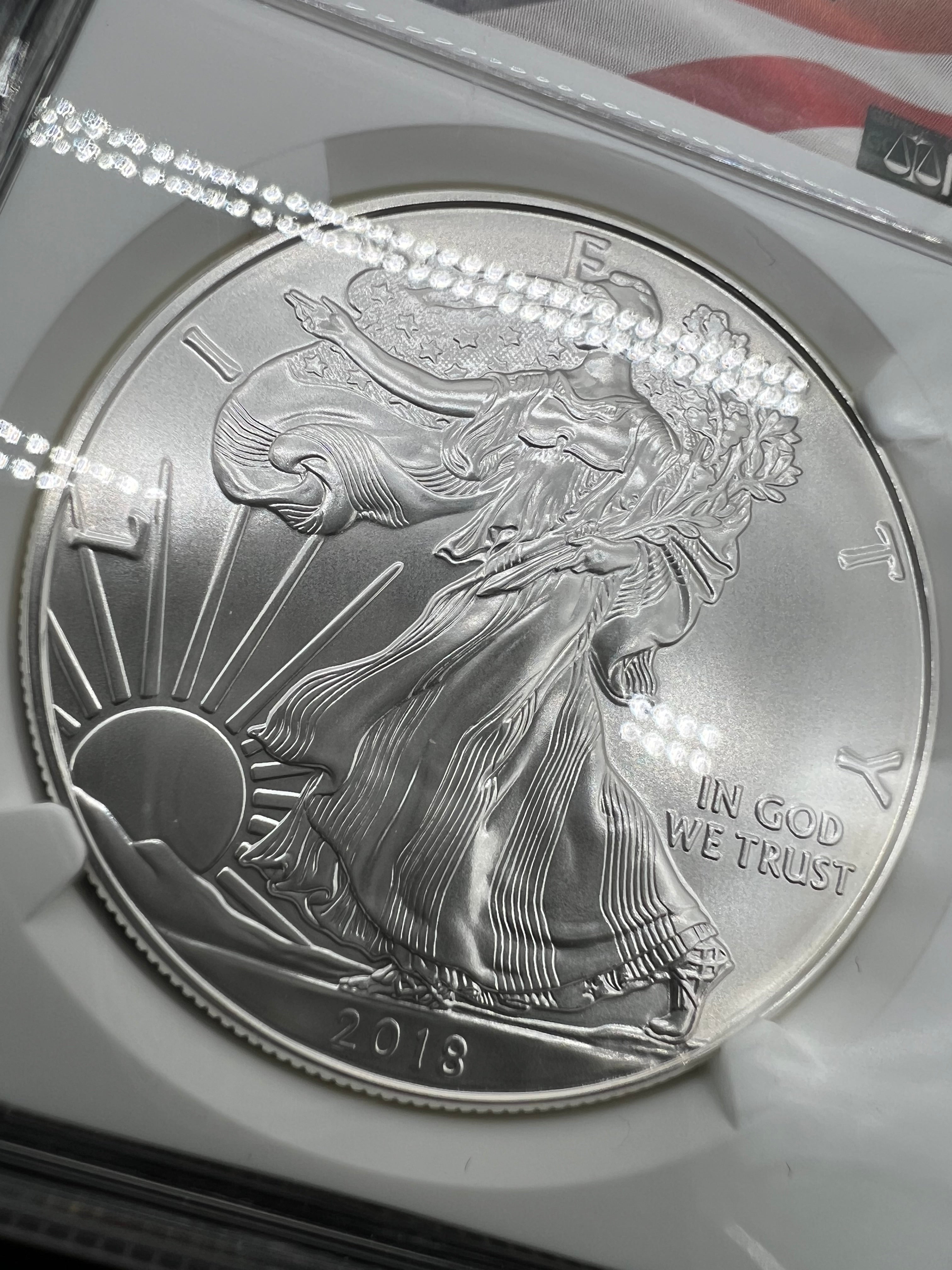 2018 MS70 American Silver Eagle