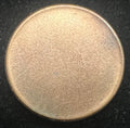 Mint Error Blank Cent Planchet