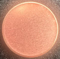 Mint Error Blank Cent Planchet