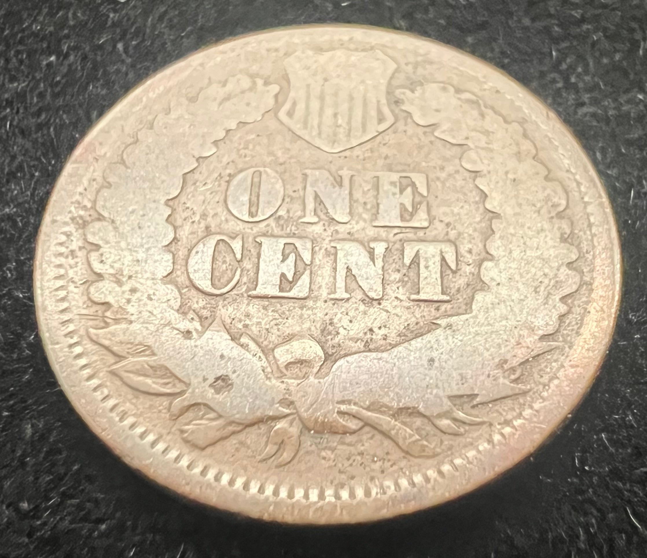 1876 Indian Head Cent