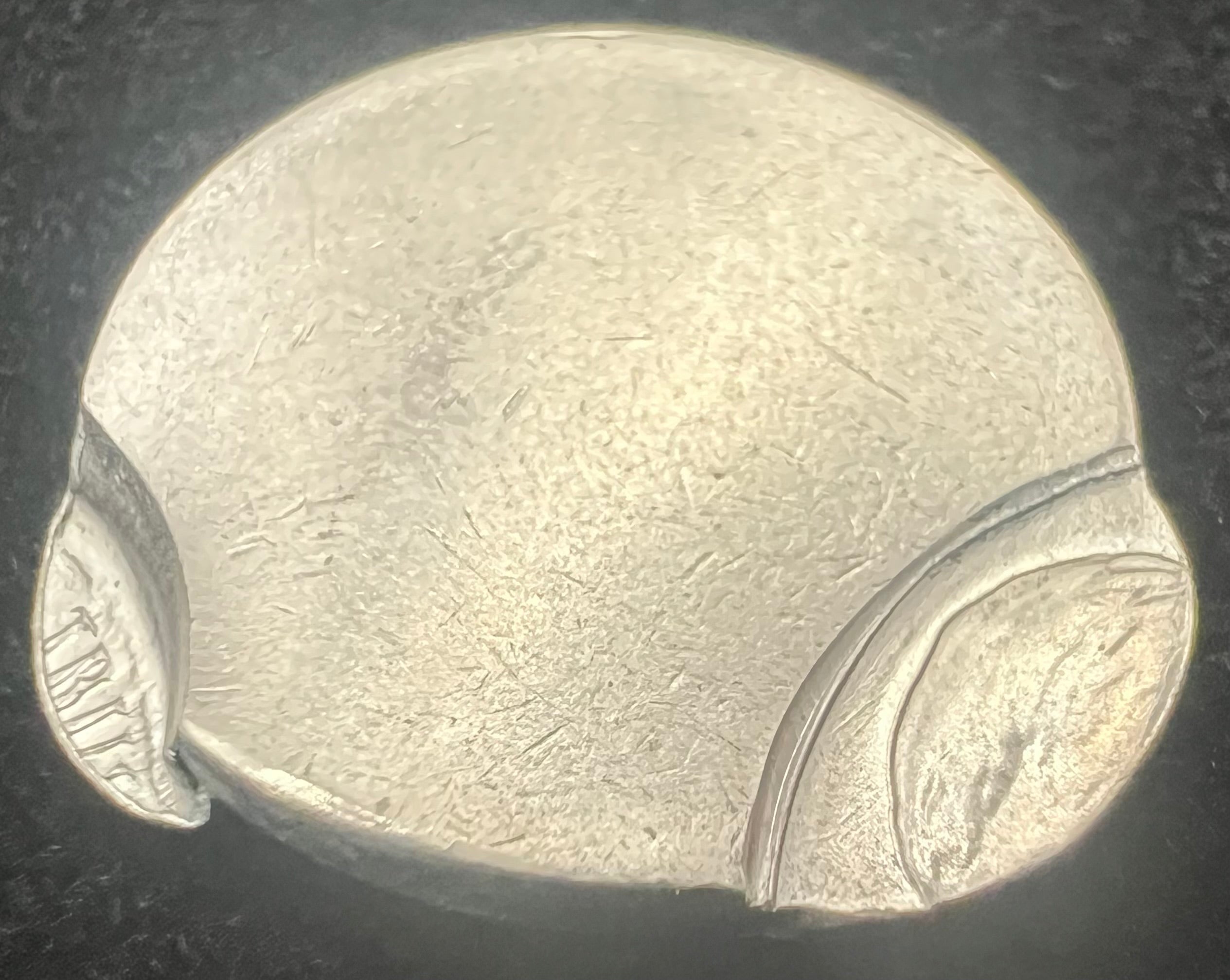 Mint Error Double Struck Off Center Jefferson Nickel Saddle Struck